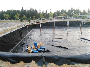 河北深州化粪池工程案例